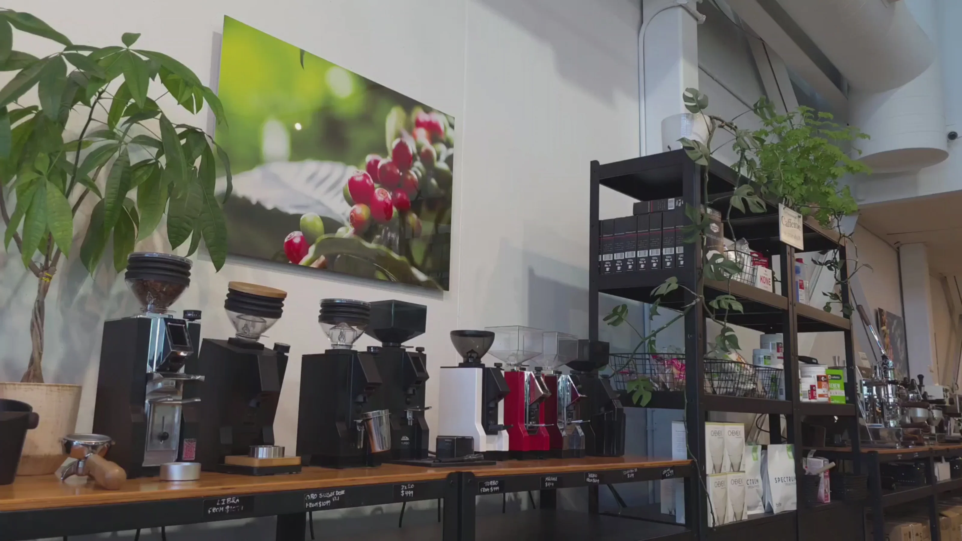 Master Your Home Espresso Ritual